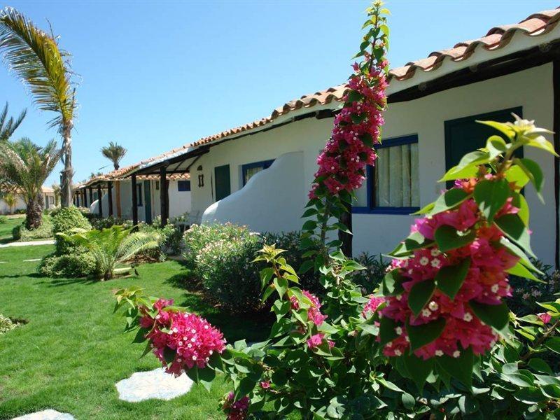 Sunsol Punta Blanca Hotel San Pedro Eksteriør billede